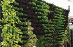 Artificial Vertical Garden Manufacturers in Jaipur